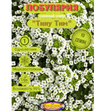  Семена Лобулярия Тину Тим 10 шт.