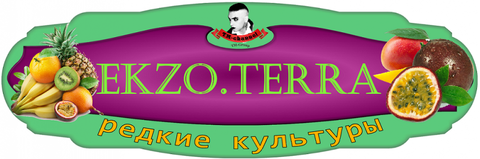 EKZO.TERRA