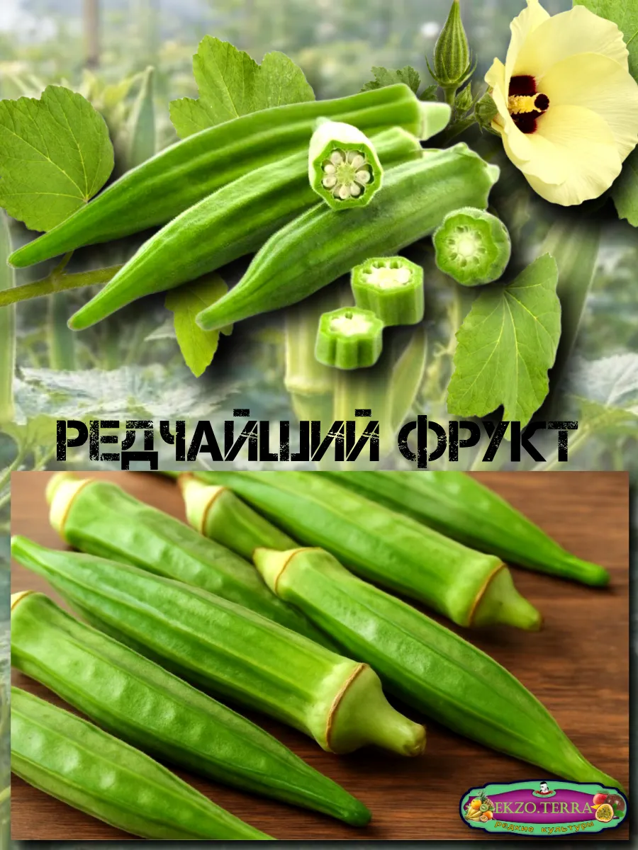  Семена Бамия 5 шт.