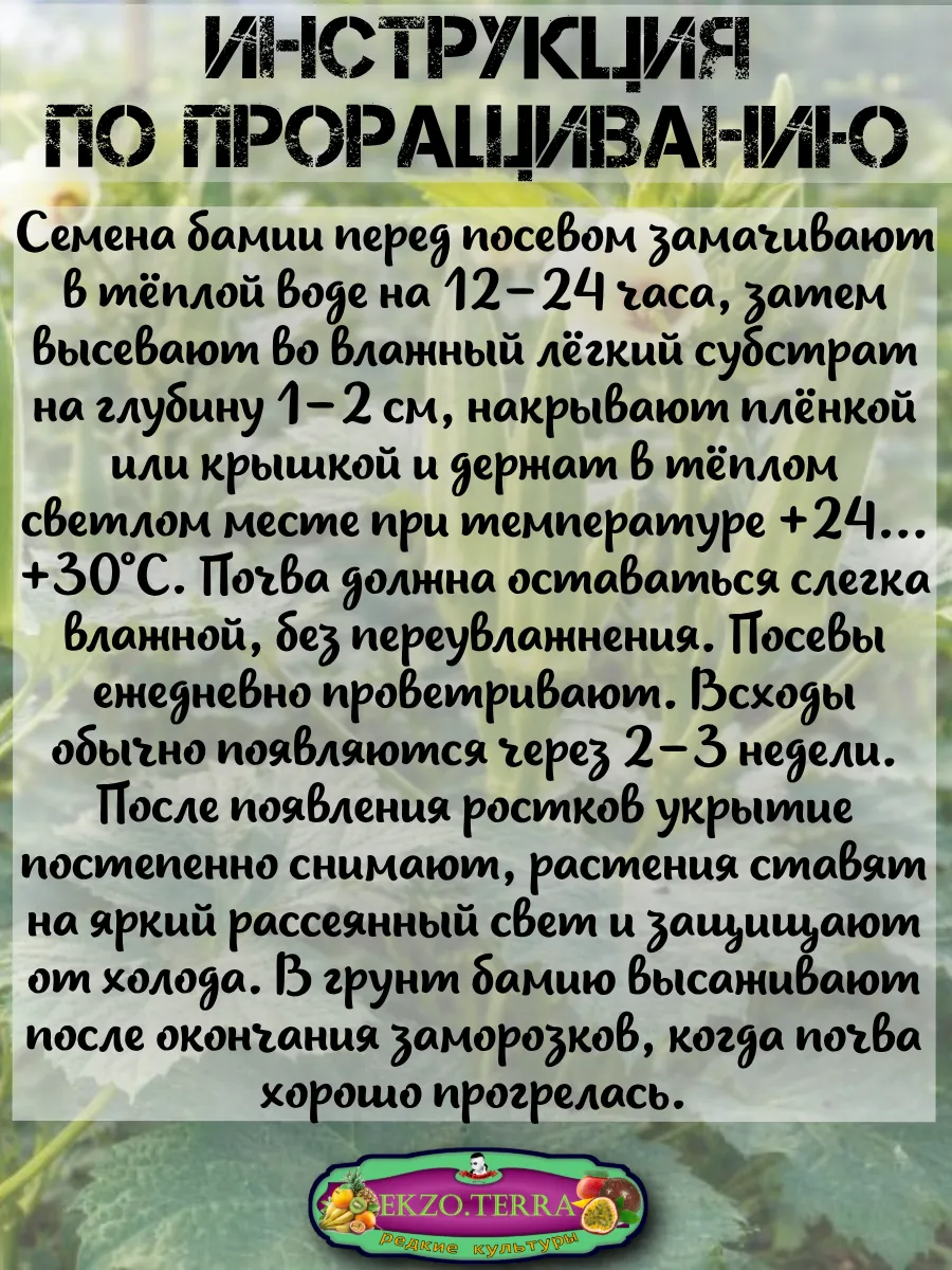  Семена Бамия 5 шт.