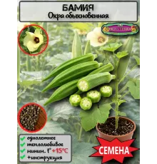  Семена Бамия 5 шт.