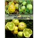  Семена Кивано 'Раунд' Желейная Дыня 5 шт.