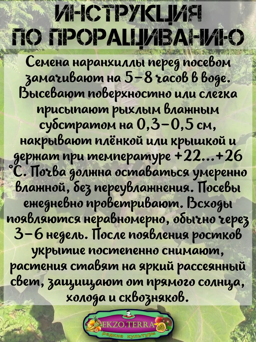  Семена Наранхилла 'Луло' 5 шт.