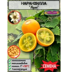  Семена Наранхилла 'Луло' 5 шт.
