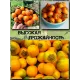  Семена Наранхилла 'Луло' 5 шт.
