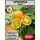  Семена Наранхилла 'Луло' 5 шт.
