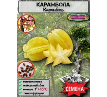  Семена Карамбола, Старфрут 2 шт.