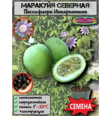  Семена Маракуйя Северная (Инкарнатная) 10 шт.
