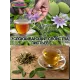  Семена Маракуйя Северная (Инкарнатная) 5 шт.