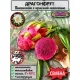  Семена Питахайя с Красной мякотью 10 шт.