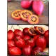  Семена Тамарилло Красный 5 шт.