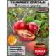  Семена Тамарилло Красный 5 шт.