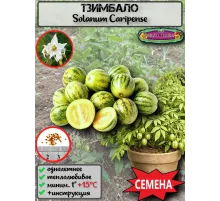  Семена Тзимбало 'Solanum Caripense' 5 шт.