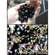 Семена Санберри, Канадская Черника 5 шт.