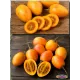  Семена Тамарилло желтый, Цифомандра 5 шт.