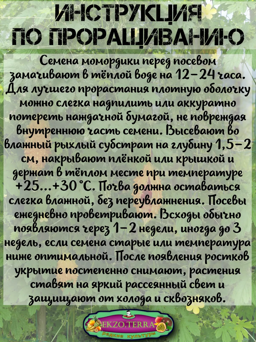  Семена Момордика, Китайский гранат 3 шт.