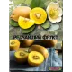 Семена Киви Gold, Золотой киви 10 шт.