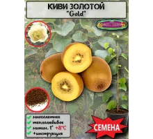  Семена Киви Gold, Золотой киви 10 шт.