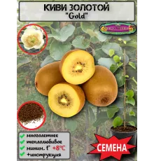  Семена Киви Gold, Золотой киви 10 шт.