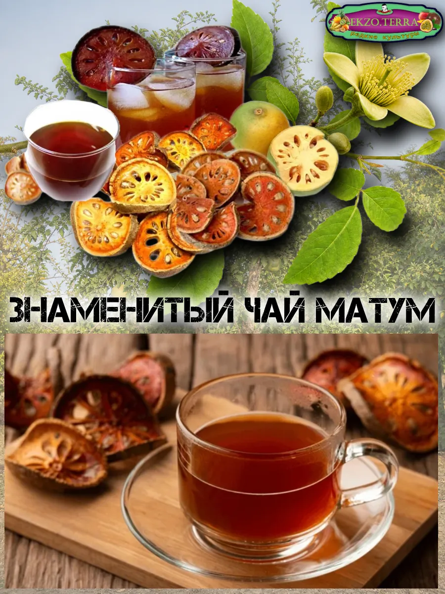  Семена Баиль, Бенгальская айва, Матум 3 шт.