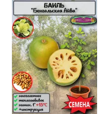  Семена Баиль, Бенгальская айва, Матум 3 шт.