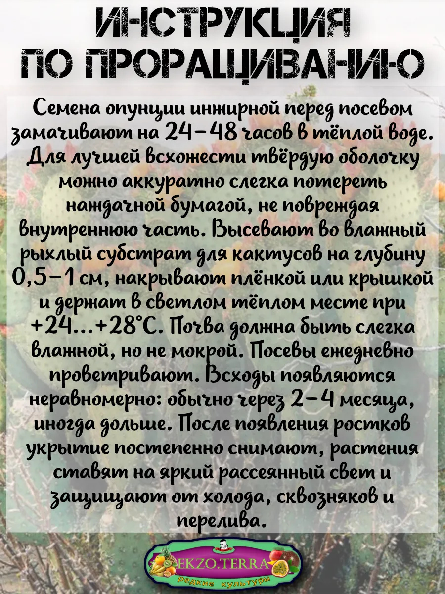  Семена 'Опунция инжирная' 5 шт.