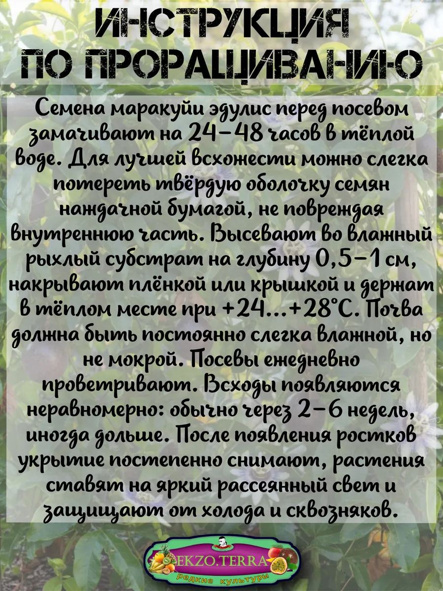  Семена Маракуйя Эдулис 'Edulis' 5 шт.