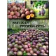  Семена Маракуйя Эдулис 'Edulis' 5 шт.