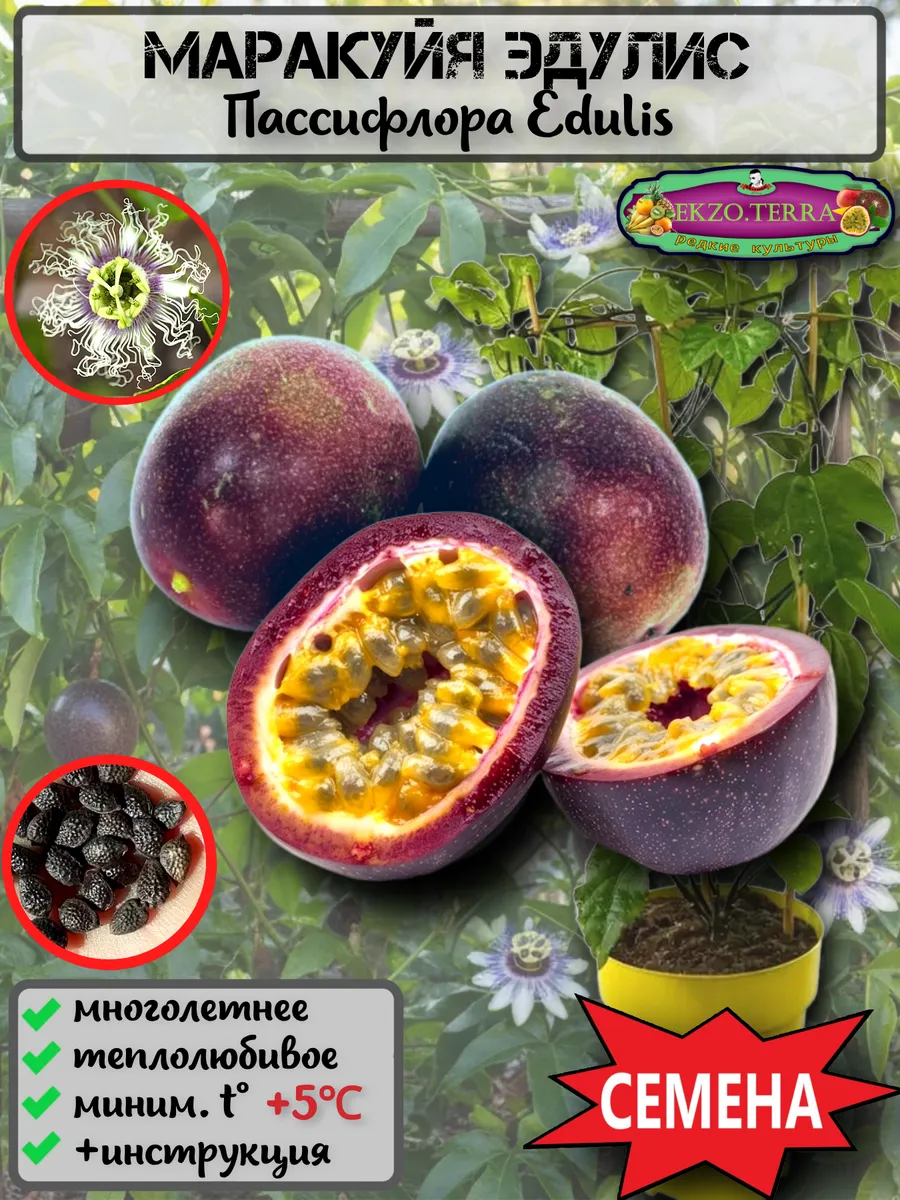  Семена Маракуйя Эдулис 'Edulis' 5 шт.