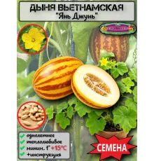  Семена Вьетнамская Дыня 'Янь Джунь' 5 шт.