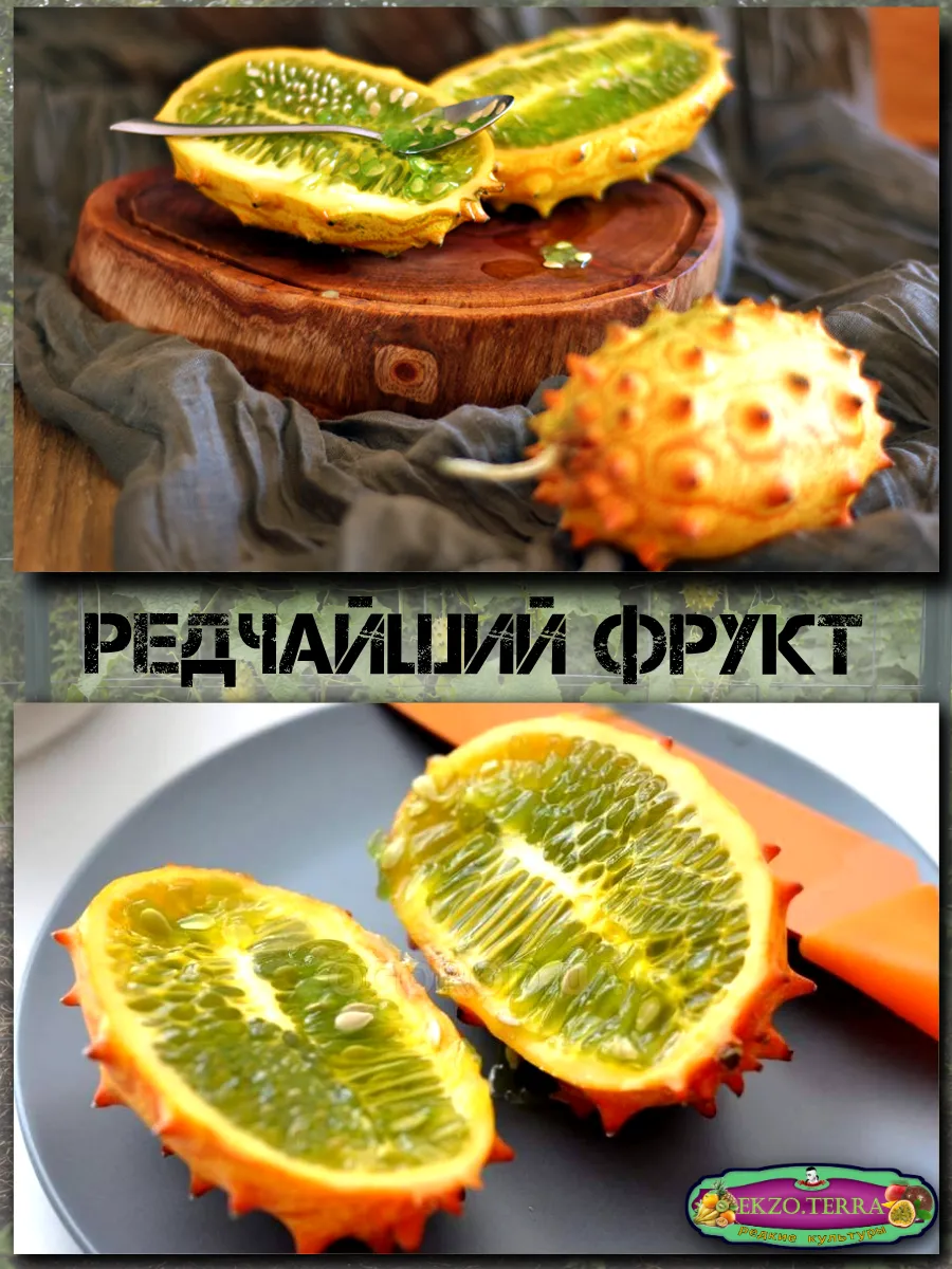  Семена Кивано 'Зеленый Дракон' 5 шт.
