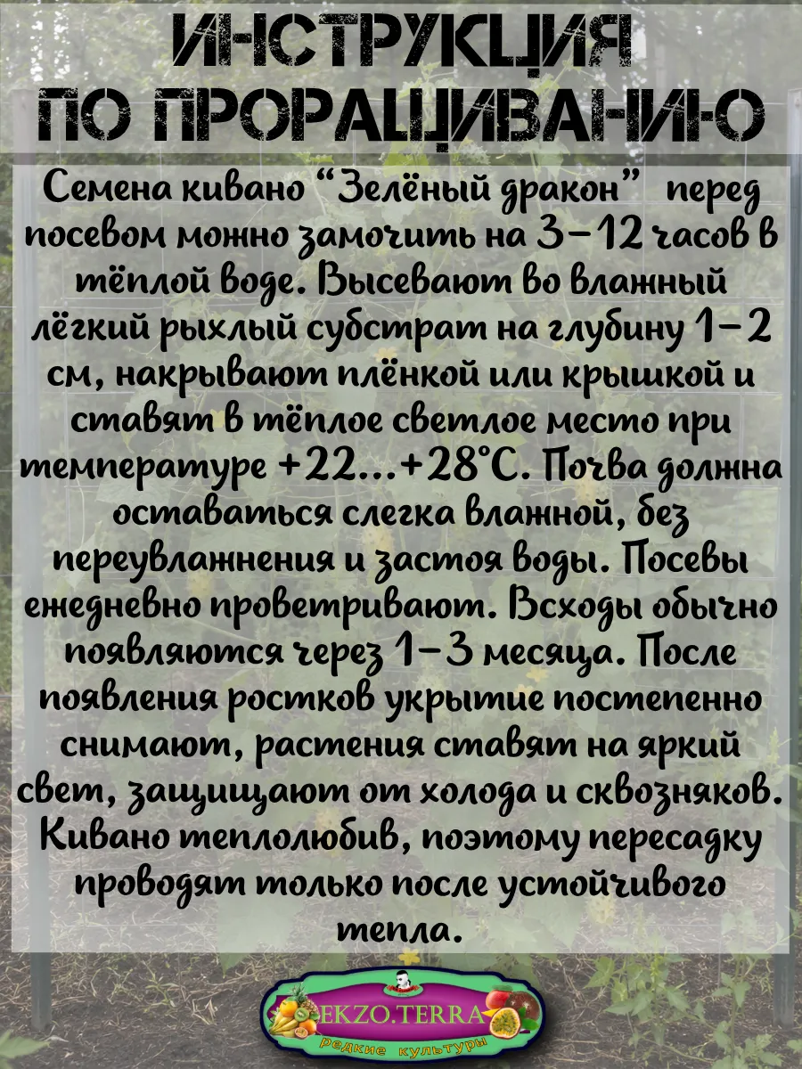  Семена Кивано 'Зеленый Дракон' 5 шт.