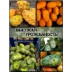  Семена Кивано 'Зеленый Дракон' 5 шт.