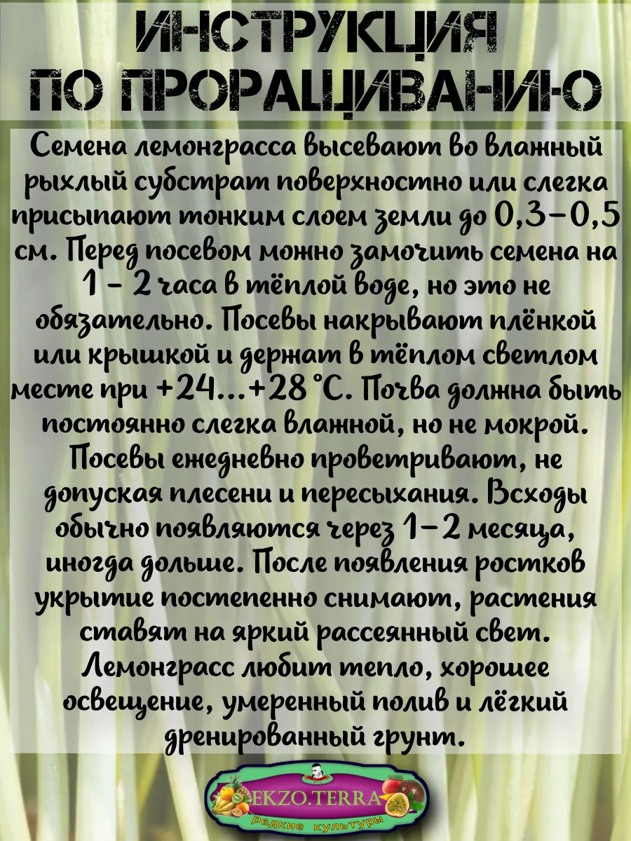  Семена Лемонграсс 5 шт.