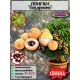  Семена Лонган (Глаз дракона) 3 шт.