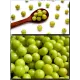  Семена Эмблика, Индийский Крыжовник 1 шт.
