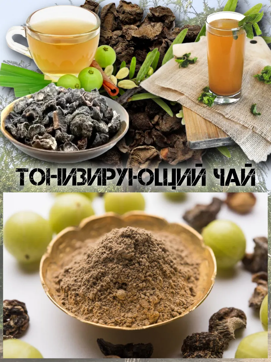  Семена Эмблика, Индийский Крыжовник 1 шт.