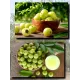 Семена Эмблика, Индийский Крыжовник 1 шт.
