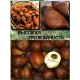  Семена Салак, Змеиный фрукт 1 шт.