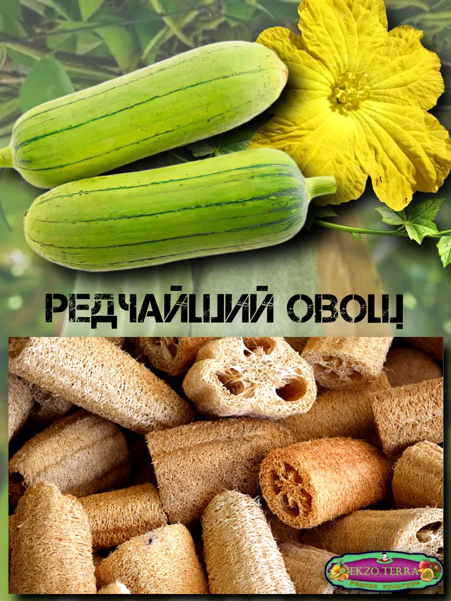  Семена Люффа египетская 3шт 3 шт.
