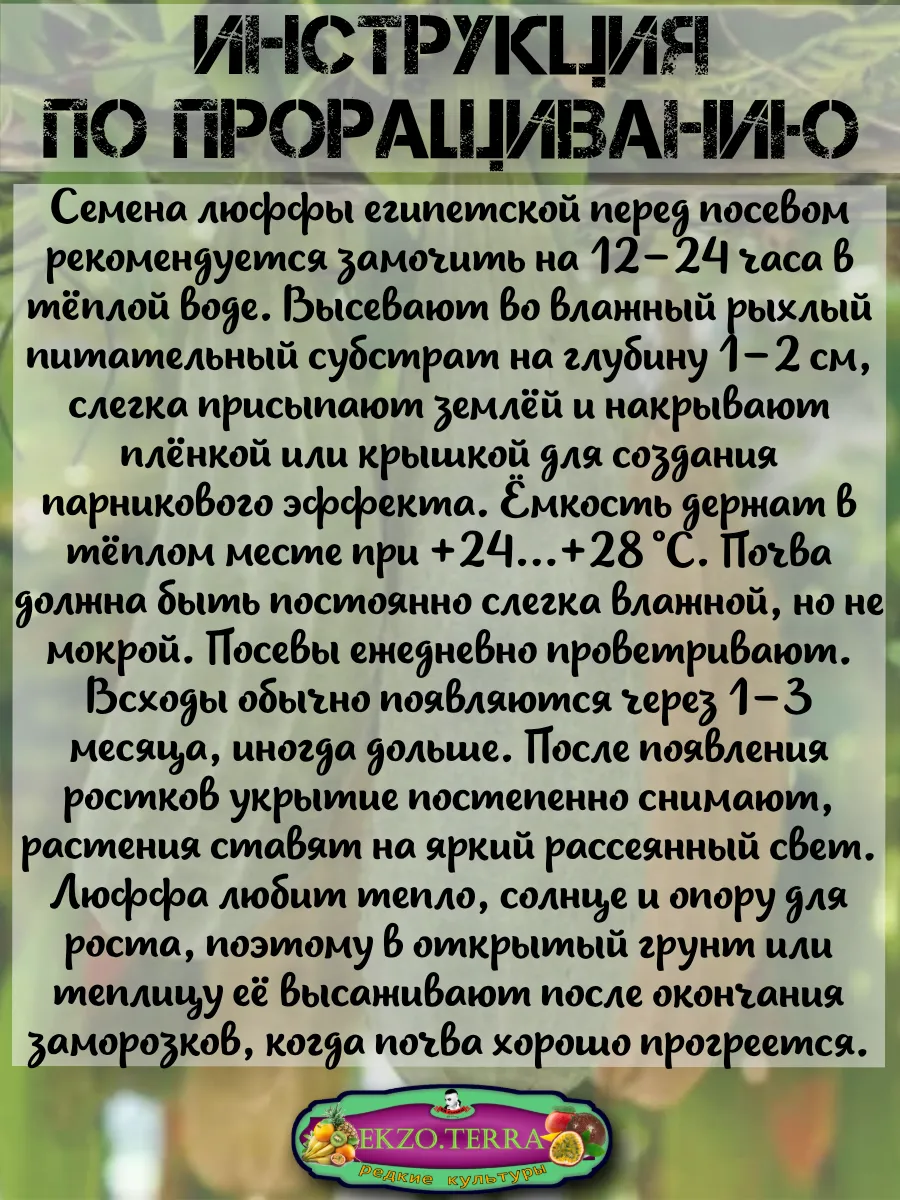  Семена Люффа египетская 3шт 3 шт.
