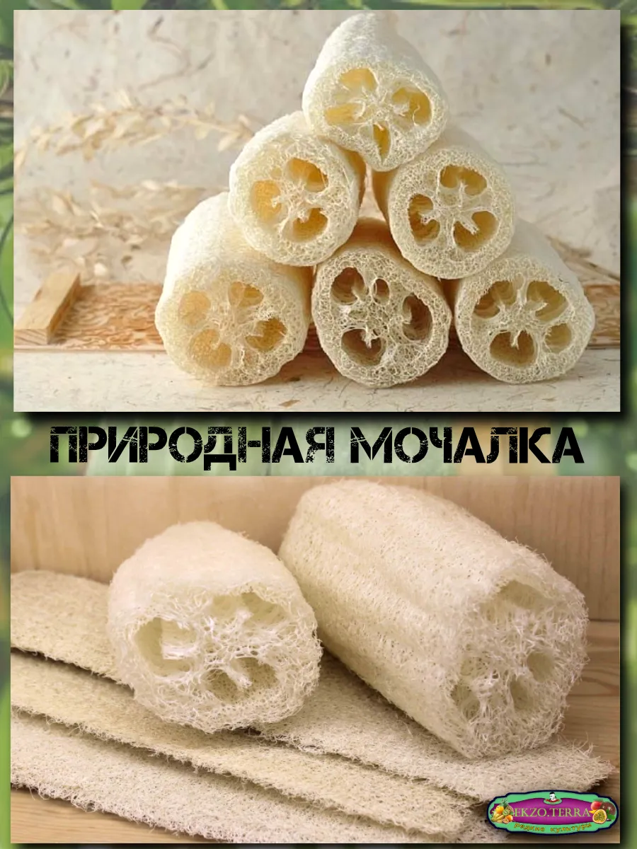  Семена Люффа египетская 3шт 3 шт.
