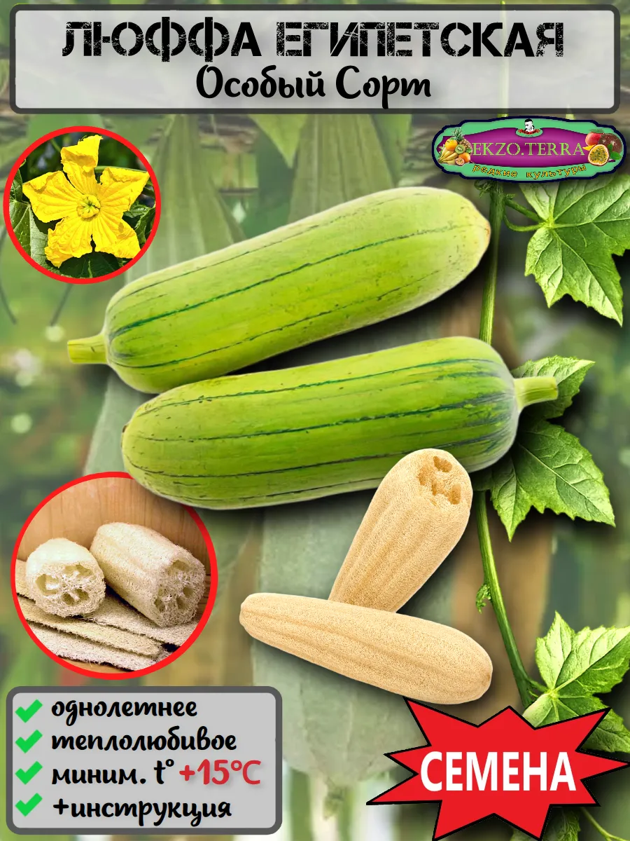  Семена Люффа египетская 3шт 3 шт.