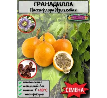  Семена Гранадиллы, Пассифлора Язычковая 5 шт.