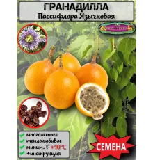 Семена Гранадиллы, Пассифлора Язычковая 5 шт.