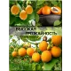  Семена Гранадиллы, Пассифлора Язычковая 5 шт.