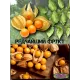  Семена Физалис Бразильский (Перуанский) 10 шт.