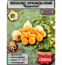  Семена Физалис Бразильский (Перуанский) 10 шт.