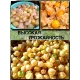  Семена Физалис Бразильский (Перуанский) 10 шт.
