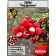  Семена Личи 3 шт.